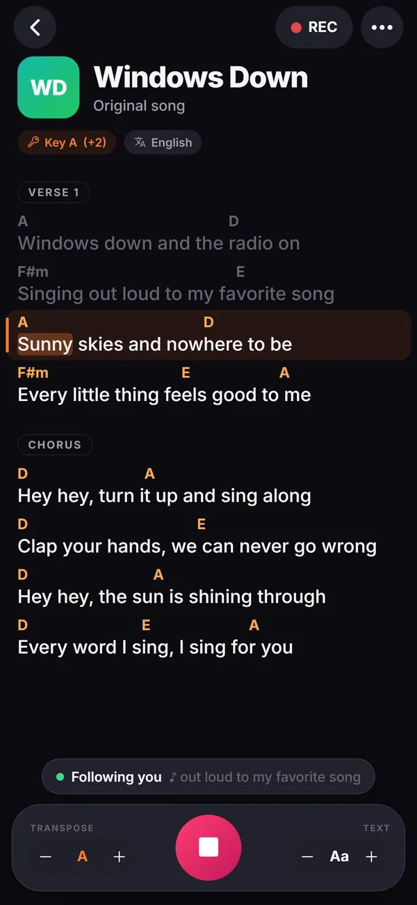 Dark prompter mode: The line you're singing is highlighted; the next lines are ready.